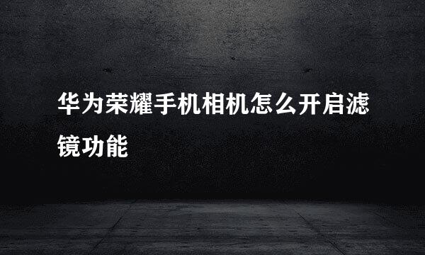 华为荣耀手机相机怎么开启滤镜功能