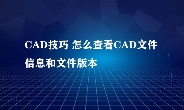 CAD技巧 怎么查看CAD文件信息和文件版本