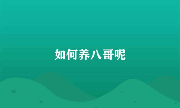 如何养八哥呢