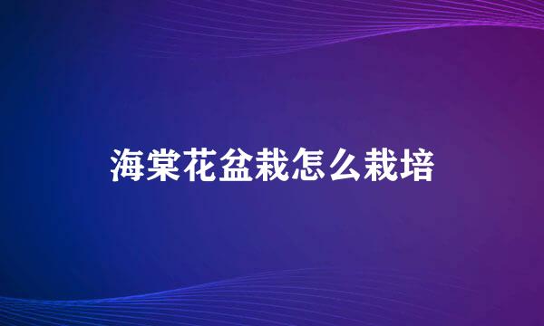 海棠花盆栽怎么栽培