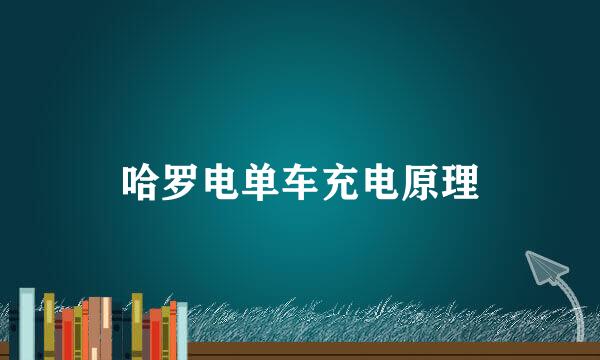 哈罗电单车充电原理