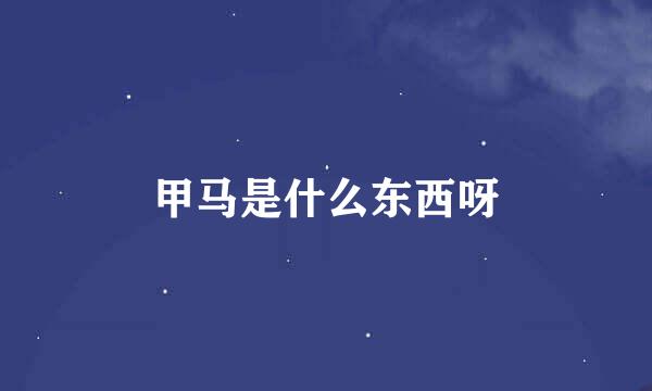 甲马是什么东西呀