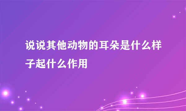 说说其他动物的耳朵是什么样子起什么作用