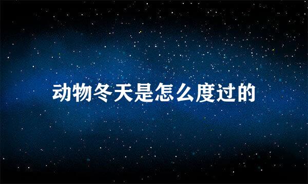 动物冬天是怎么度过的