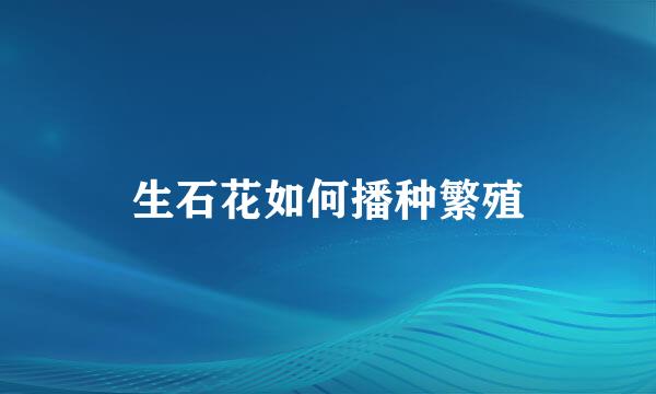 生石花如何播种繁殖