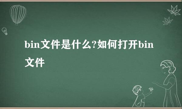 bin文件是什么?如何打开bin文件