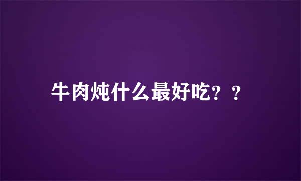 牛肉炖什么最好吃？？