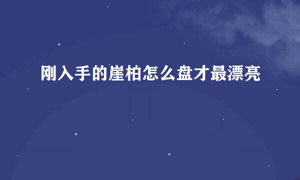 刚入手的崖柏怎么盘才最漂亮