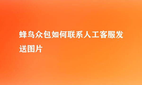 蜂鸟众包如何联系人工客服发送图片