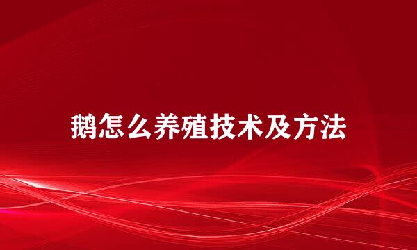 鹅怎么养殖技术及方法