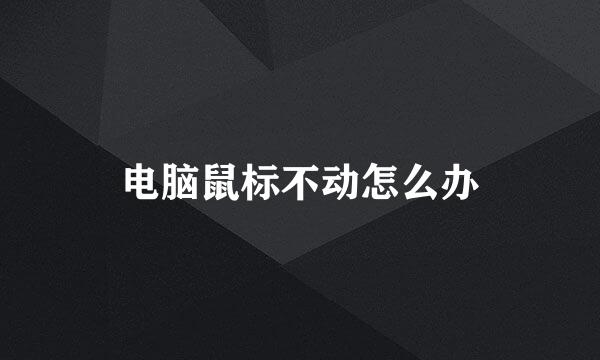 电脑鼠标不动怎么办