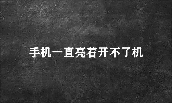 手机一直亮着开不了机