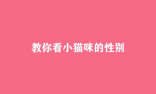 教你看小猫咪的性别