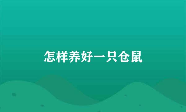 怎样养好一只仓鼠