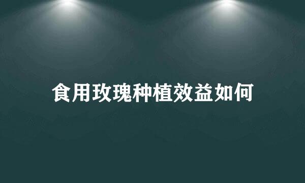 食用玫瑰种植效益如何