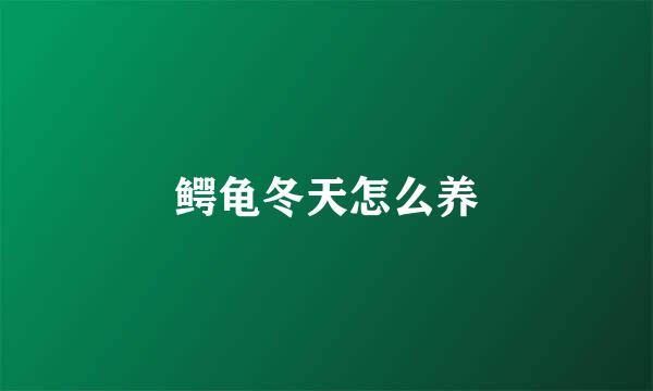 鳄龟冬天怎么养