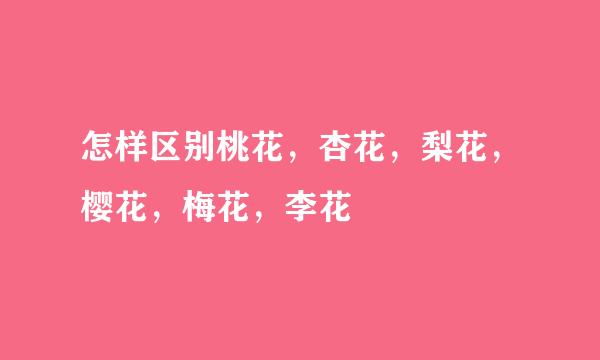 怎样区别桃花，杏花，梨花，樱花，梅花，李花