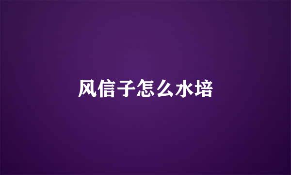 风信子怎么水培