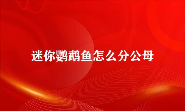迷你鹦鹉鱼怎么分公母