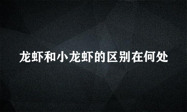 龙虾和小龙虾的区别在何处