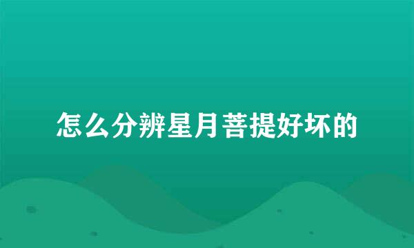 怎么分辨星月菩提好坏的