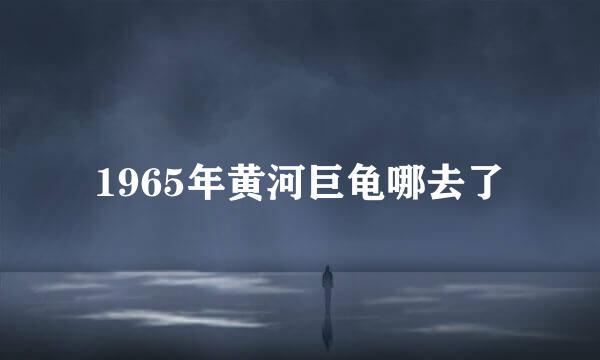 1965年黄河巨龟哪去了