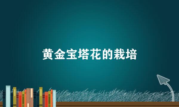 黄金宝塔花的栽培
