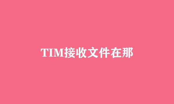TIM接收文件在那