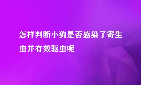 怎样判断小狗是否感染了寄生虫并有效驱虫呢