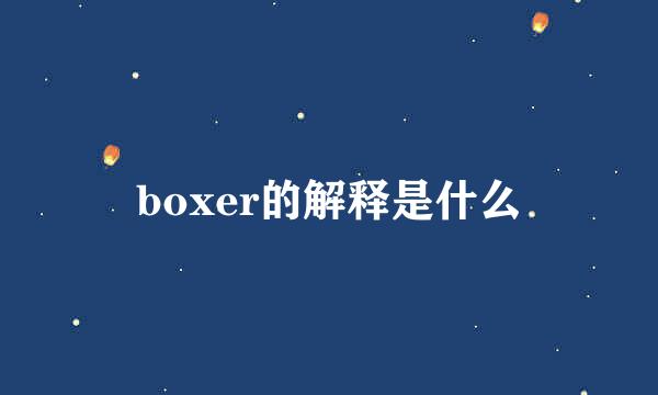 boxer的解释是什么