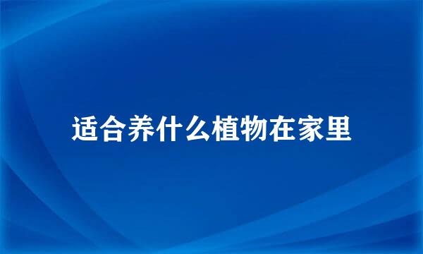适合养什么植物在家里