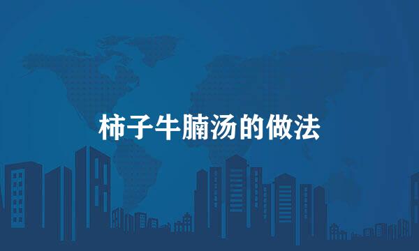 柿子牛腩汤的做法