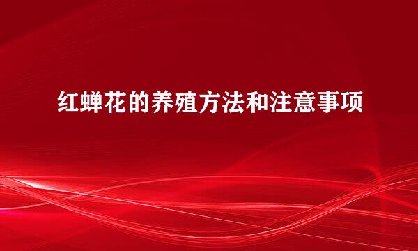 红蝉花的养殖方法和注意事项