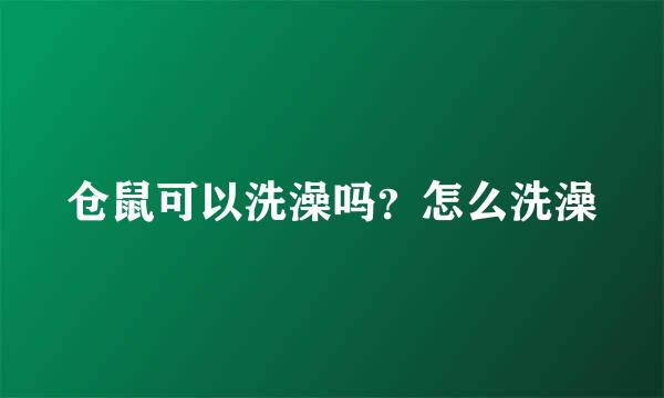 仓鼠可以洗澡吗?怎么洗澡