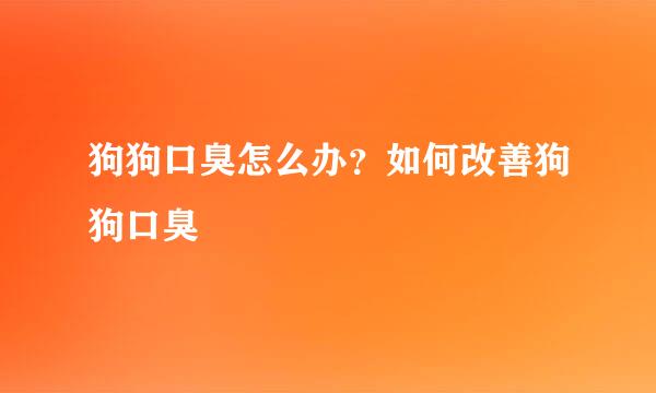 狗狗口臭怎么办？如何改善狗狗口臭