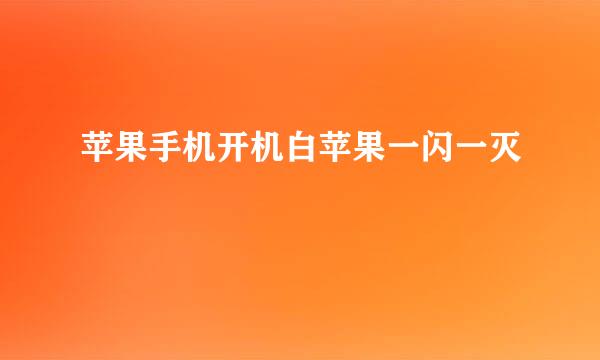 苹果手机开机白苹果一闪一灭