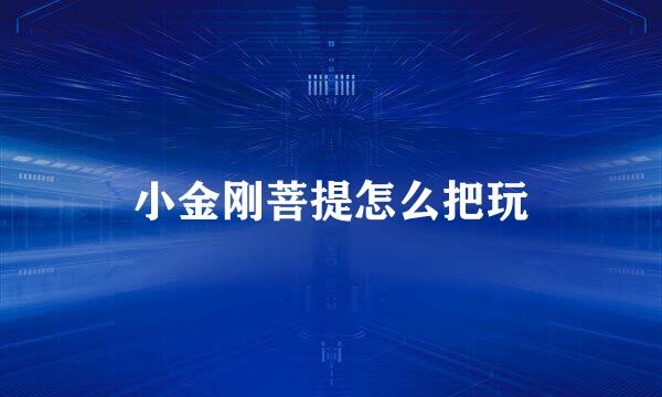 小金刚菩提怎么把玩