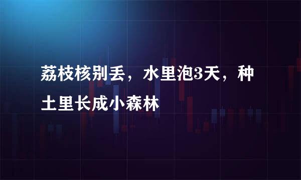 荔枝核别丢，水里泡3天，种土里长成小森林