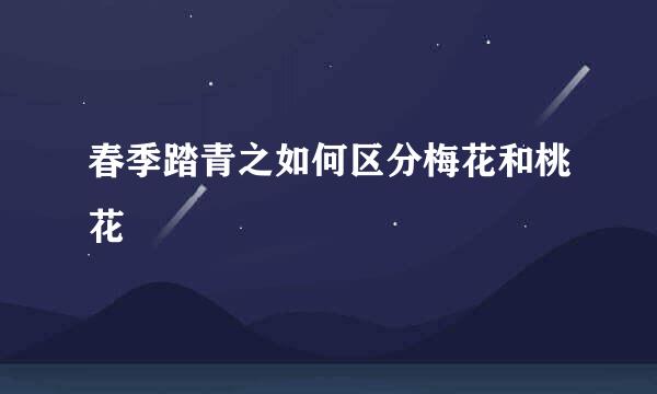 春季踏青之如何区分梅花和桃花