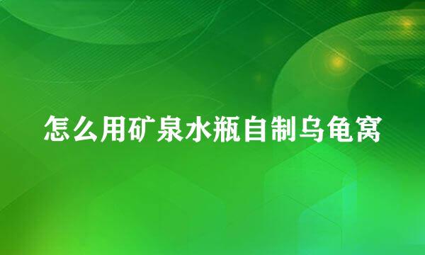 怎么用矿泉水瓶自制乌龟窝