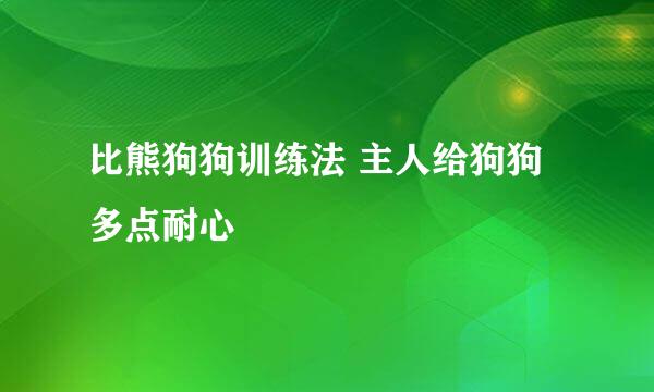 比熊狗狗训练法 主人给狗狗多点耐心