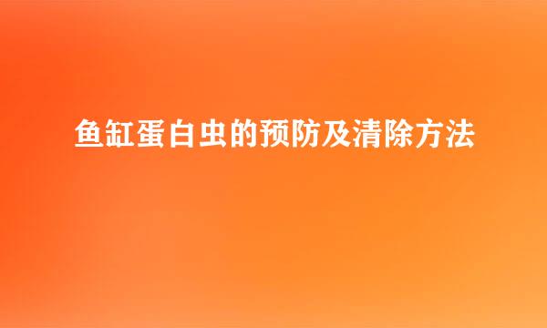 鱼缸蛋白虫的预防及清除方法
