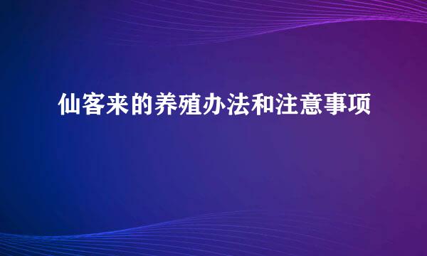 仙客来的养殖办法和注意事项