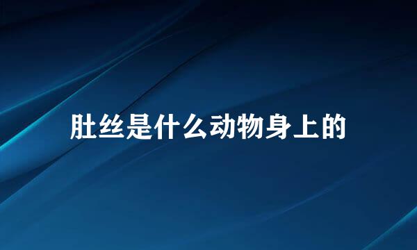肚丝是什么动物身上的