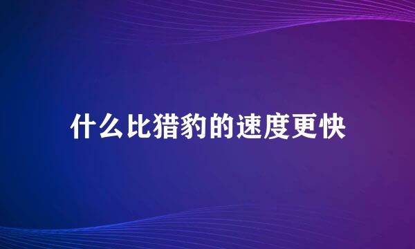 什么比猎豹的速度更快