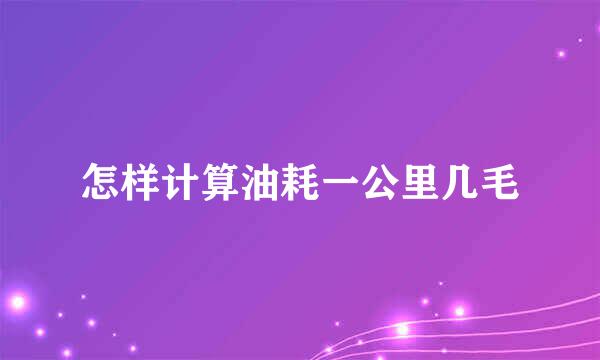 怎样计算油耗一公里几毛