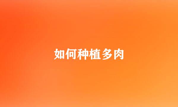 如何种植多肉
