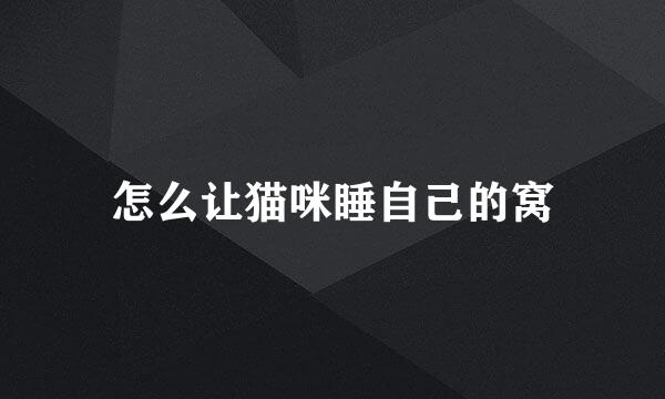 怎么让猫咪睡自己的窝