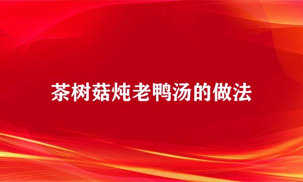 茶树菇炖老鸭汤的做法