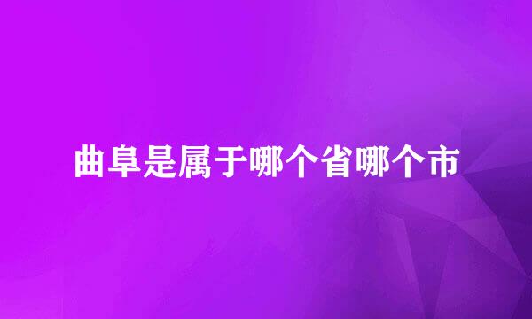 曲阜是属于哪个省哪个市